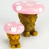 Mini gomba asztalka és szék 2db/cs - rózsaszín - KIFUTÓ