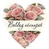 Kép 5/5 - Matrica - Boldog névnapot 3 forma 15db/lap