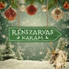 Nyomtatott fa nyíl - Rénszavas karám 30cm