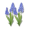 Muscari dekorkarton 2 db