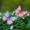 Nyomtatott dekorkarton - Színes pillangók 4db
