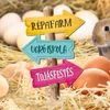 Kép 3/3 - Nyomtatott dekorkarton - Húsvéti útjelző tábla 2db
