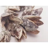 Bakuli termés hamvas 10db/csomag