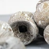 Kép 4/5 - Eukalyptus Bell Gum zúzmarás