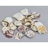 "Shell" kagyló 3-4cm 10dkg/csomag