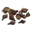Barna csiga 4,5-7cm 10dkg/csomag