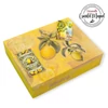 Csináld magad - Citromliget kincsesdoboz 20x25cm