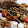 Csináld magad - Erdei natúr karácsony - Díszített dekotálca