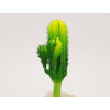 Kép 1/2 - Kaktusz 12cm