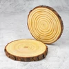 Kép 4/7 - Fa szelet 13cm