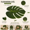 Szár nélküli óriás filodendron levél 12db/csomag