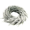 Zúzmarás koszorú thuja 30cm