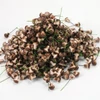 Gomba pick barna 2*1,5cm 1000db/csomag