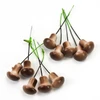 Kép 3/3 - Gomba pick barna 2*1,5cm 25db/csomag