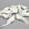Kép 1/6 - Fehér galamb 12db/doboz