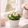 Fehér fa szívek beszúrható vegyes 9db/csomag