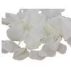 Virágszirom krém 10g