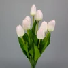Kép 2/7 - Szálas tulipán halvány rózsaszín