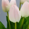 Kép 3/7 - Szálas tulipán halvány rózsaszín