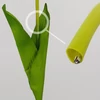 Kép 4/7 - Szálas tulipán halvány rózsaszín