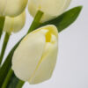 Kép 2/3 - 5 ágú tulipán csokor krém