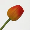 Kép 4/4 - Szálas gumi tulipán cirmos narancs