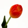 Kép 3/4 - Szálas gumi tulipán cirmos narancs