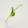 Kép 2/4 - Szálas gumi tulipán fehér