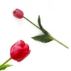 Kép 1/4 - Szálas gumi tulipán pink