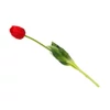 Kép 4/4 - Szálas gumi tulipán piros