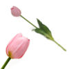 Kép 1/4 - Szálas gumi tulipán rózsaszín
