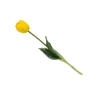 Kép 4/4 - Szálas gumi tulipán sárga
