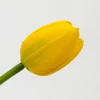 Kép 3/4 - Szálas gumi tulipán sárga