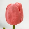 Kép 3/5 - Szálas polifoam tulipán lazac 32cm