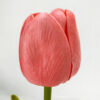 Kép 2/5 - Szálas polifoam tulipán lazac 32cm