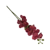 Kép 4/5 - 2 ágú orchidea bordó