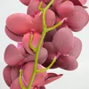 Kép 5/5 - 2 ágú orchidea bordó