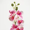 Kép 2/7 - 2 ágú orchidea ciklámen-fehér