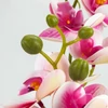 Kép 4/7 - 2 ágú orchidea ciklámen-fehér