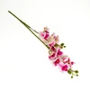 Kép 7/7 - 2 ágú orchidea ciklámen-fehér