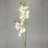 Kép 1/6 - 2 ágú orchidea fehér-Kosárbolt.hu