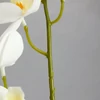 Kép 4/6 - 2 ágú orchidea fehér