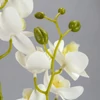 Kép 5/6 - 2 ágú orchidea fehér