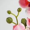 Kép 4/7 - 2 ágú orchidea rózsaszín-fehér