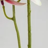 Kép 5/7 - 2 ágú orchidea rózsaszín-fehér