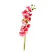 Kép 1/5 - 2 ágú orchidea rózsaszín-sárga-Kosárbolt.hu