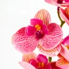 Kép 3/5 - 2 ágú orchidea rózsaszín-sárga