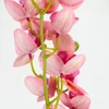Kép 4/5 - 2 ágú orchidea rózsaszín-sárga