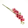 Kép 5/5 - 2 ágú orchidea rózsaszín-sárga