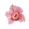 Kép 6/6 - Orchidea fej 4db/csomag rózsaszín